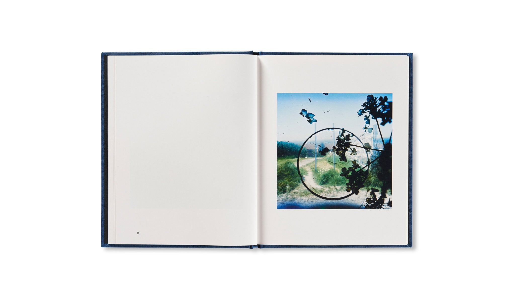 OUTSIDE IN by Stephen Gill - Photography Book for Art Lovers, Perfect for Home Decor & Gift Ideas