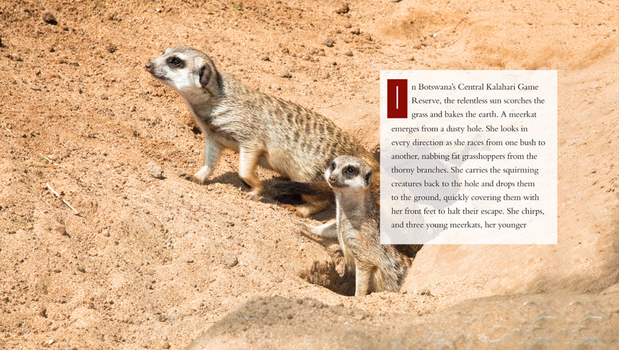 Meerkats Book - ISBN 9781608185696 - Wildlife Education & Nature Exploration for Kids & Adults