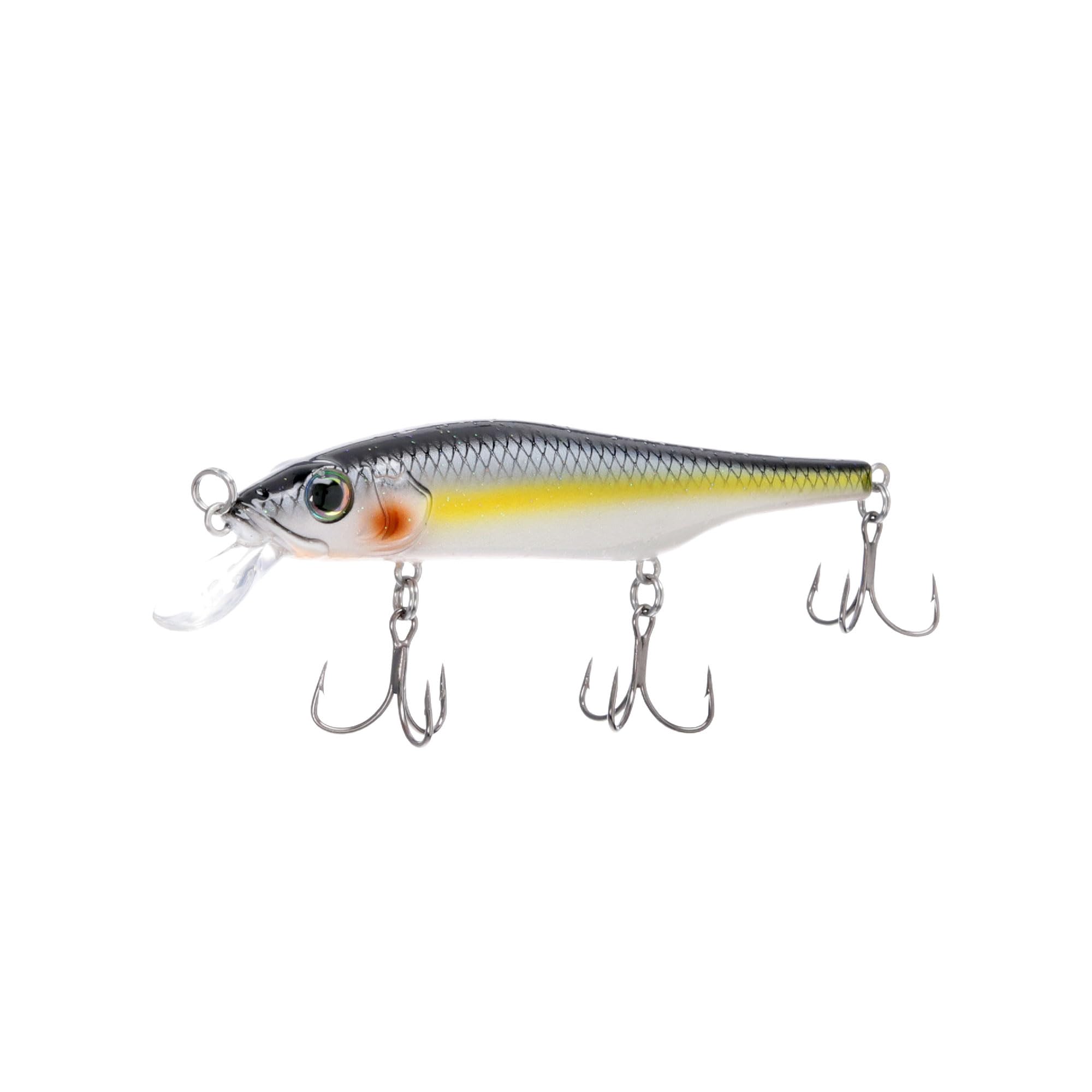 Chrome Blue/Orange Belly