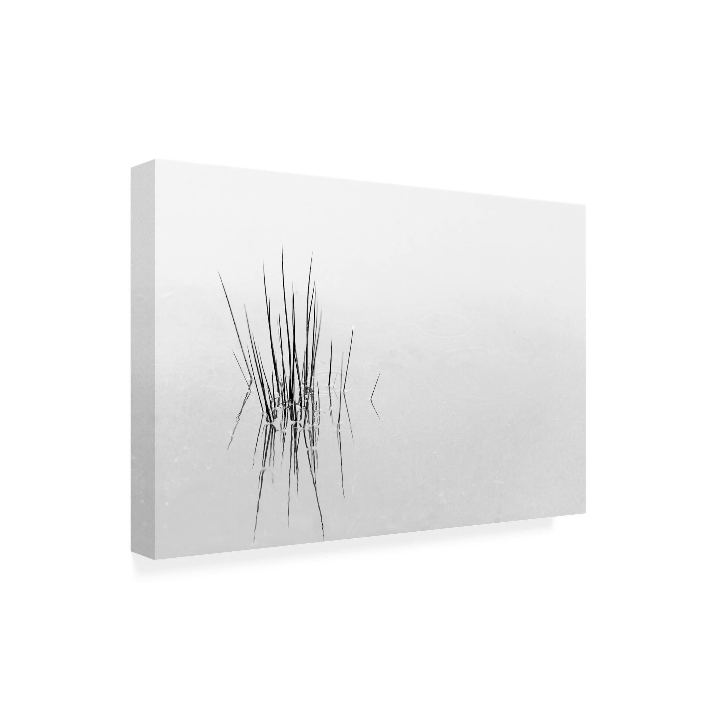 Trademark Fine Art 'Reflections' Canvas Wall Art by Olavo Azevedo - Modern Abstract Painting for Living Room, Bedroom & Office Decor