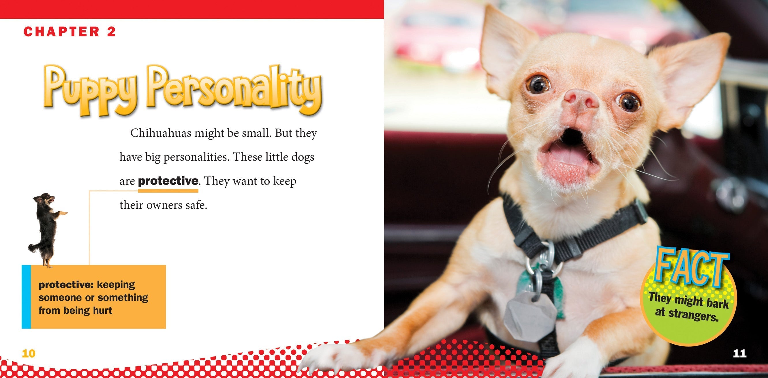 Chihuahuas - 9781623104689 | Small Dog Breed Guide, Care Tips & Training Advice for Pet Lovers | Perfect for Home Companionship & Family Pets