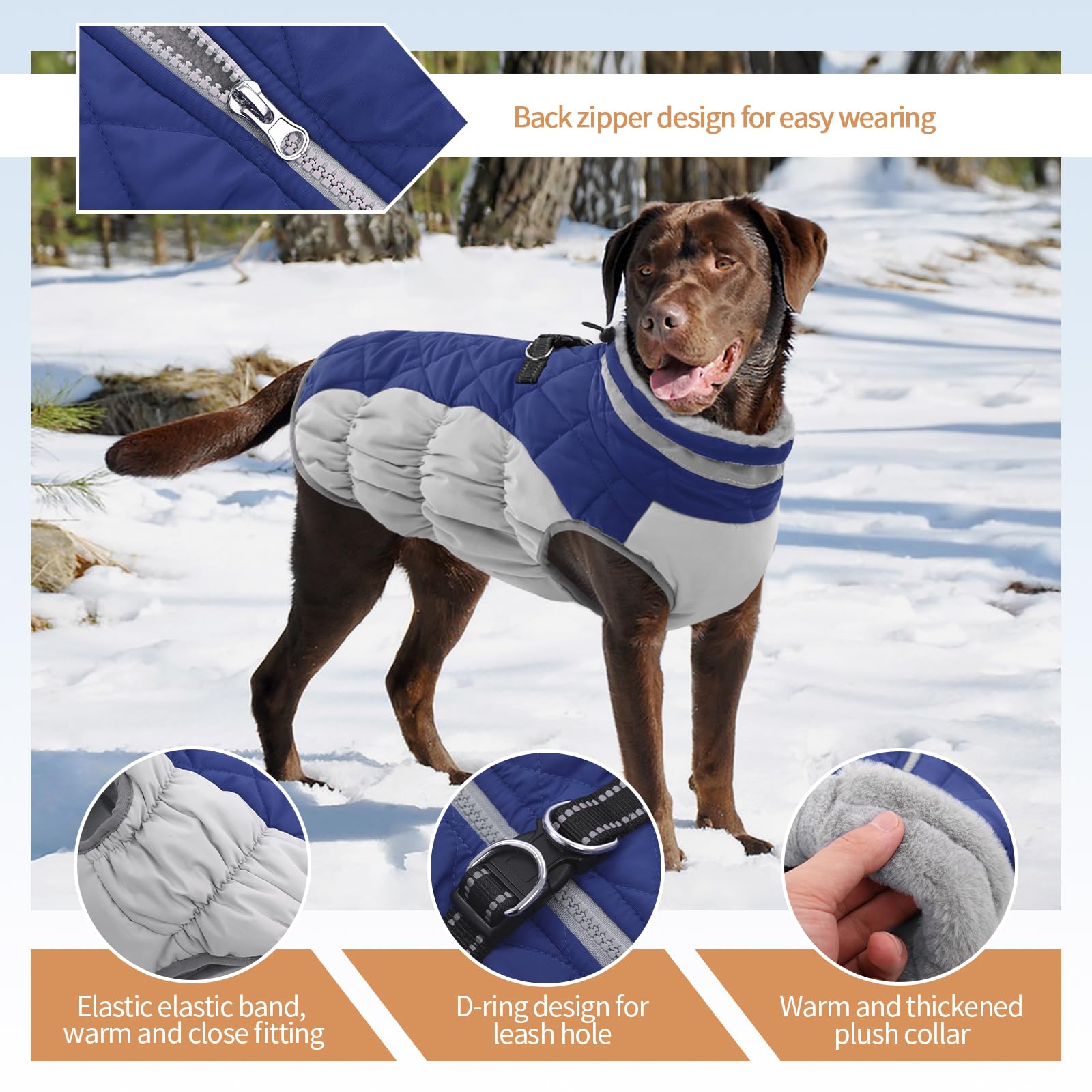 Waterproof Fleece-Lined Dog Winter Coat for Medium Dogs - Warm Zip-Up Jacket with D-Ring | Cold Weather & Snow Protection for Pug, Boston Terrier | Perfect for Winter Walks, Outdoor Adventures & Snowy Days (Blue, Size M)