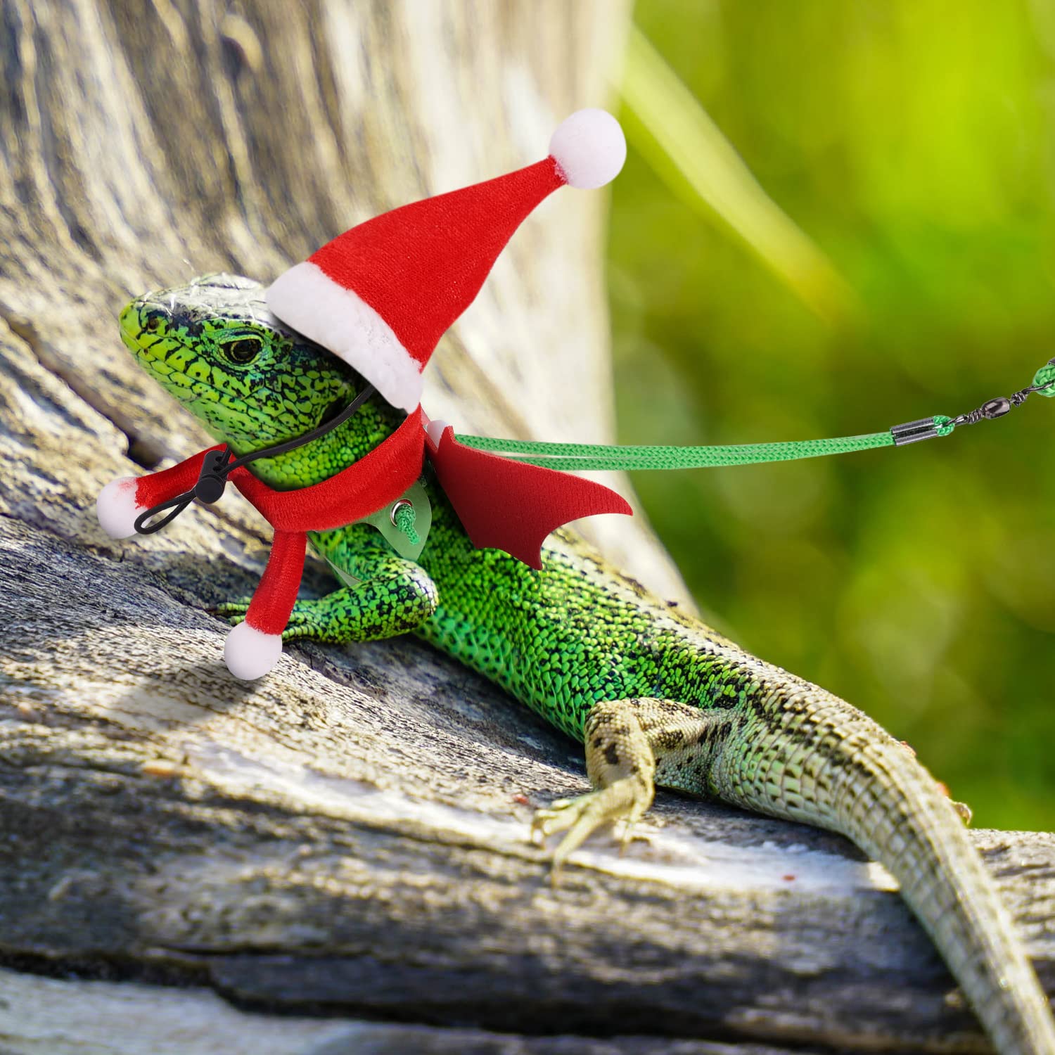 Bearded Dragon Christmas Costume Set - Santa Hat, Scarf & Leash for Reptile Holiday Cosplay (Green & Red) - Perfect for Festive Pet Photos