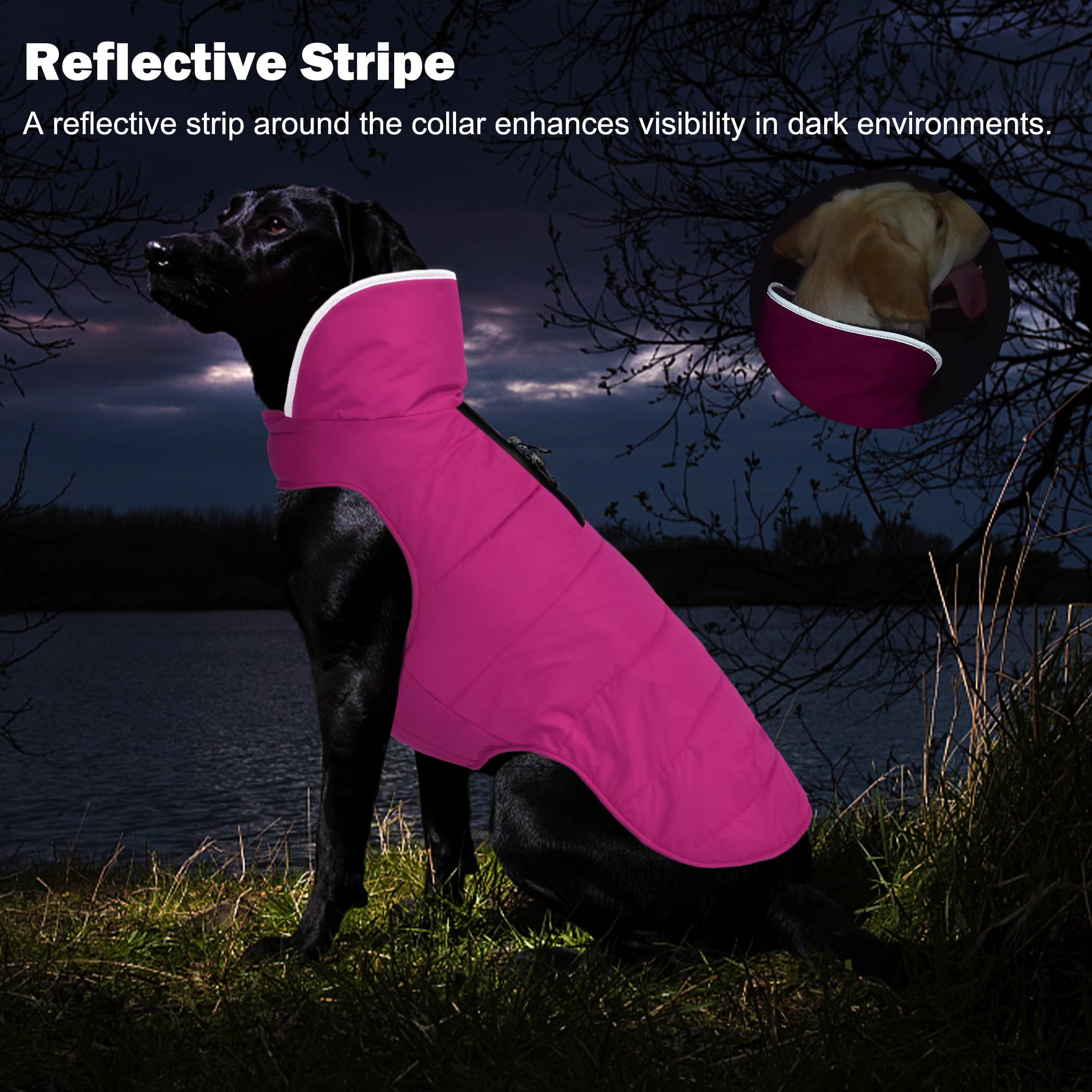 Waterproof Reflective Dog Winter Coat with Leash Hole - Windproof Fleece Snow Jacket for Small, Medium & Large Dogs (Pink, XS) - Perfect for Cold Weather Walks & Outdoor Adventures