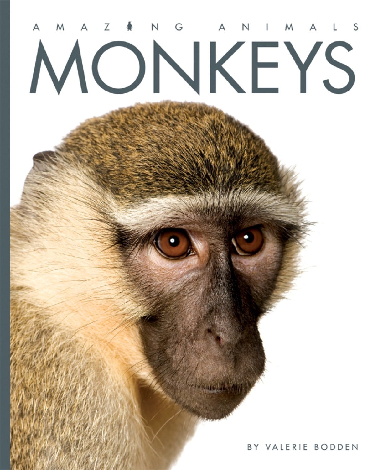 Amazing Animals (2014): Monkeys - Educational Wildlife Documentary for Kids & Nature Lovers - Perfect for Classroom Learning & Family Movie Nights