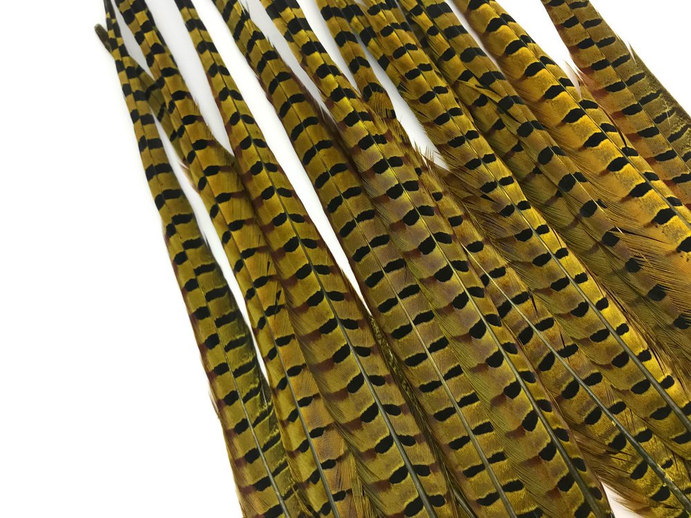 50 Pieces Natural Long Ringneck Pheasant Tail Feathers - Yellow Dyed Bulk Wholesale (18-22