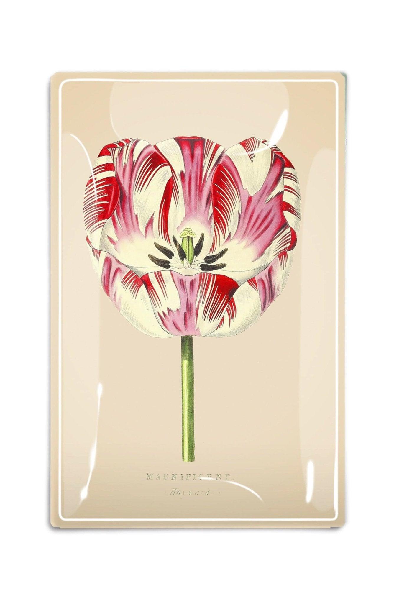 Elegant Pink Tulip Decoupage Glass Tray - Handcrafted Home Decor Serving Tray for Tea Parties, Bridal Showers & Vintage Table Settings