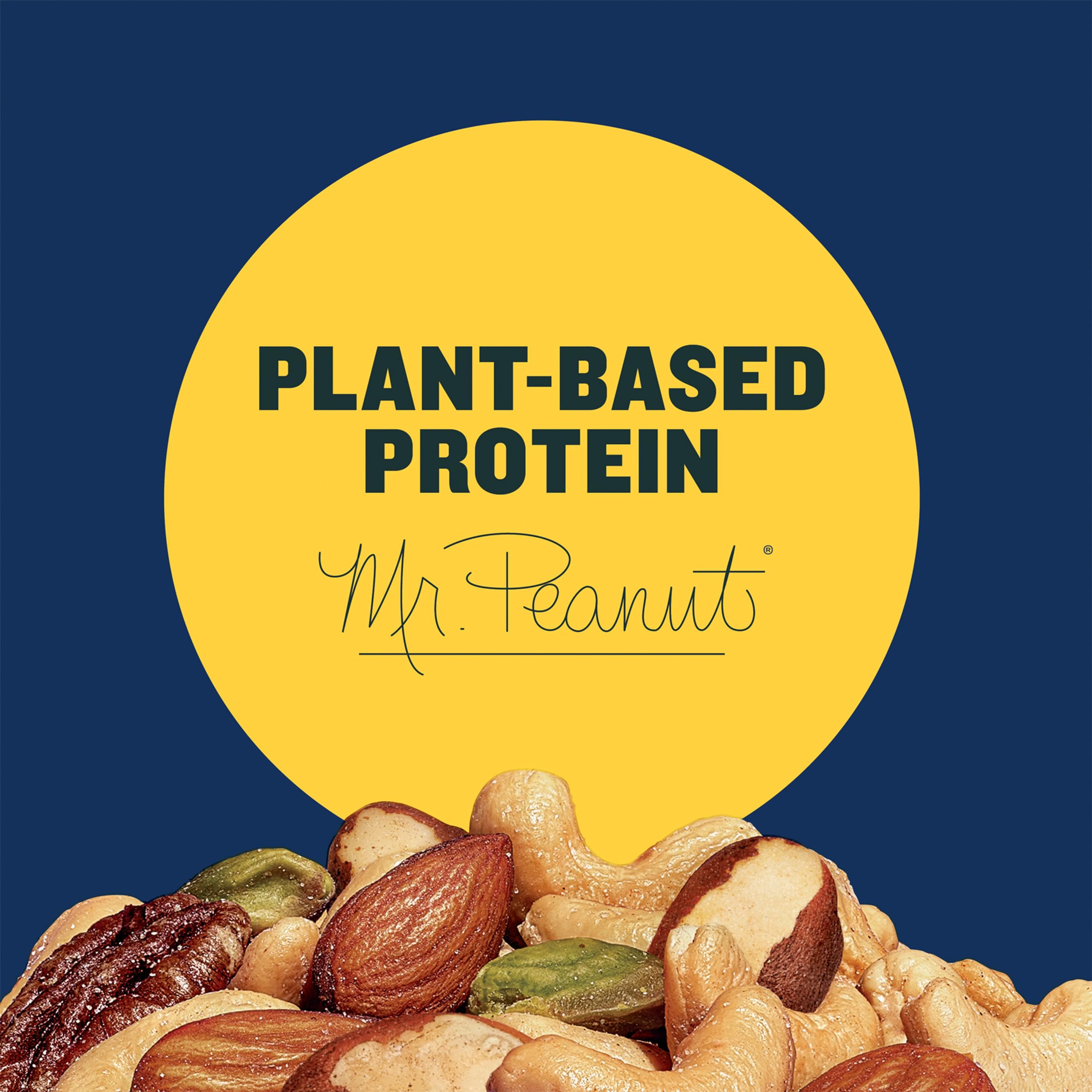 PLANTERS Pistachio Lovers Nut Mix - Shell-Free Pistachios, Almonds & Cashews | High Protein Plant-Based Snack | Kosher Certified 1lb 2.5oz Bulk Pack | Perfect for Parties, After School Snacks & Healthy On-the-Go Nutrition