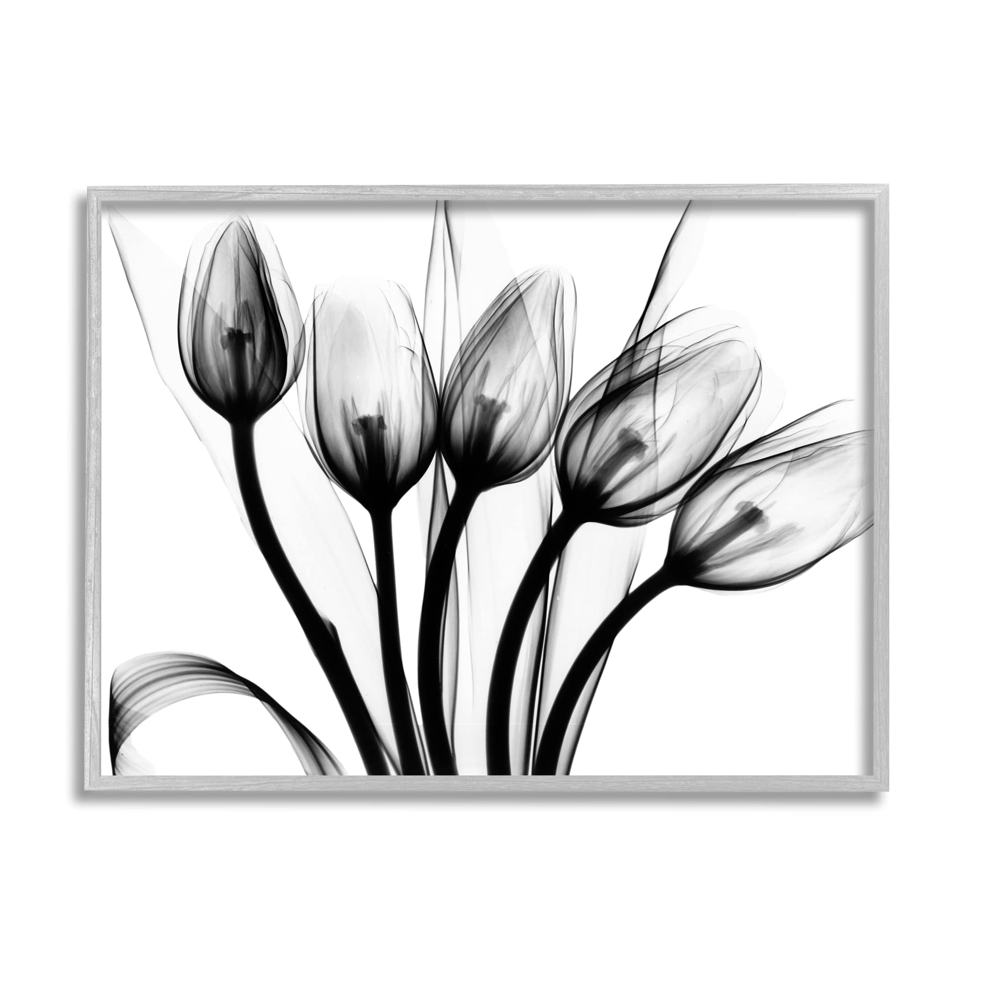 Stupell Industries Modern Tulip Blossom Abstract Monochrome Silhouette Wall Art - Black & White Floral Photography by Albert Koetsier - Perfect for Living Room, Bedroom & Office Decor