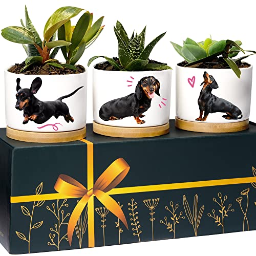 Dachshund Planters