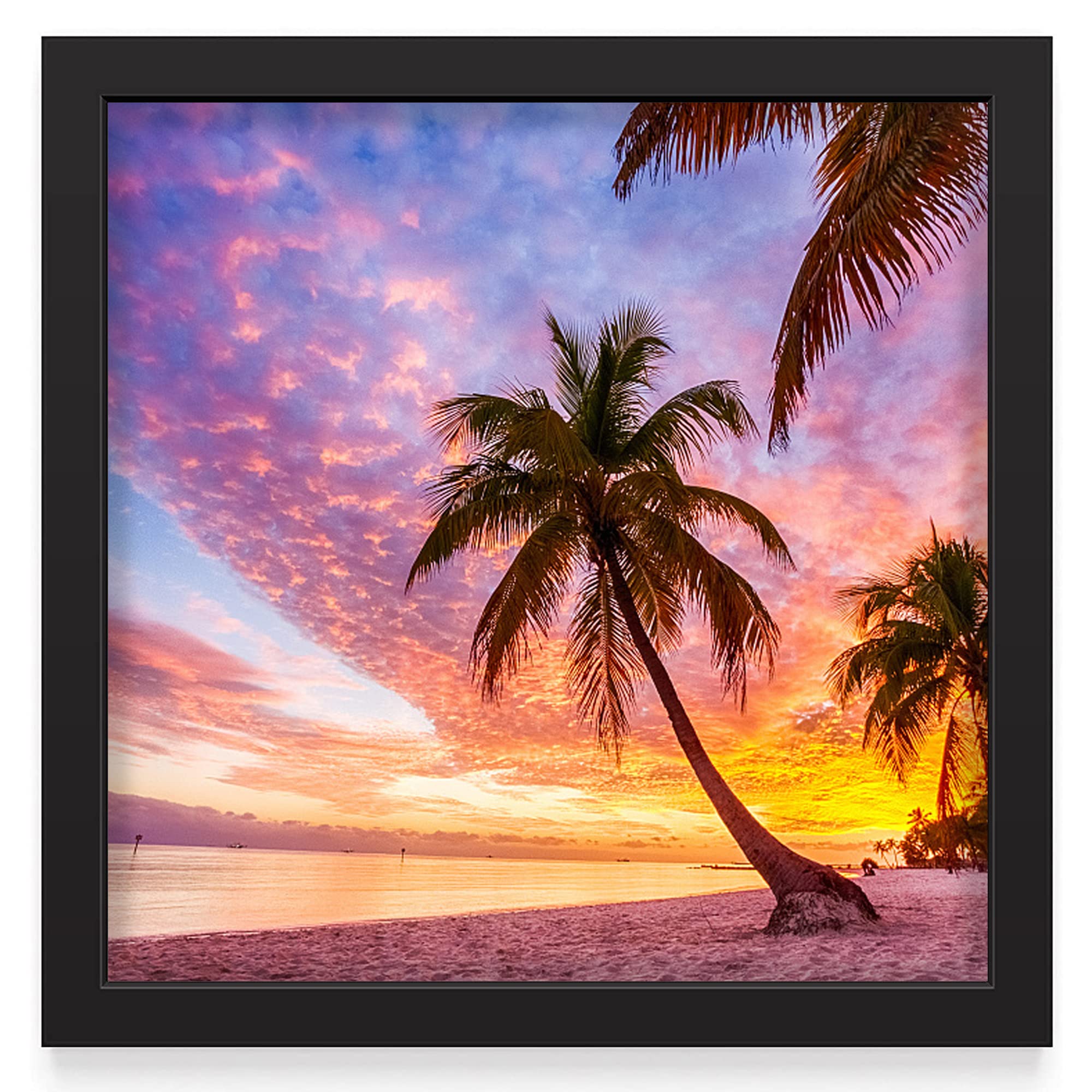 16x16 Wood Picture Frame for Wall Hanging - Black Family Photo Collage Frame with Glass Front - Perfect for Living Room, Bedroom, Office Decor & Document Display