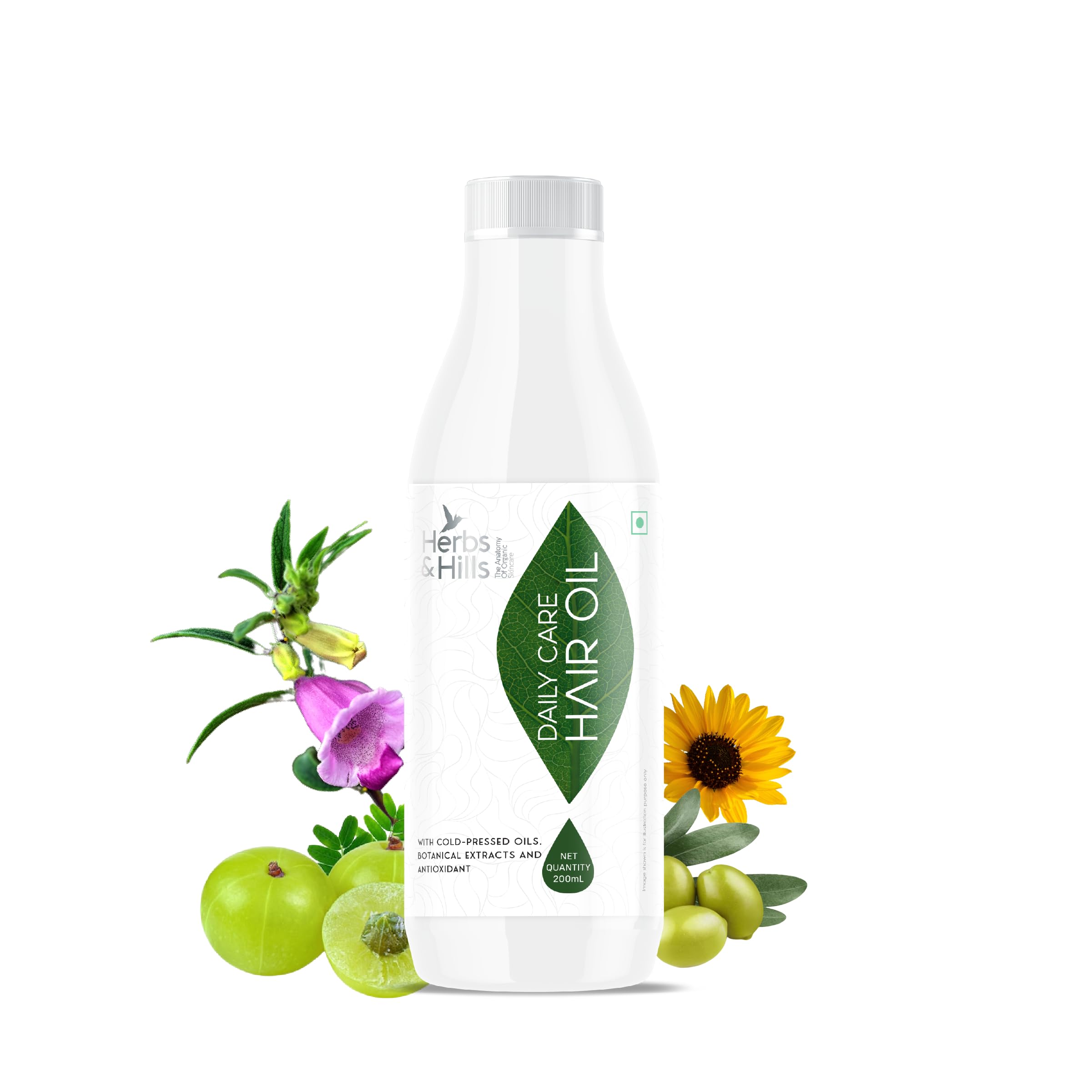 Herbs & Hills Daily Care Hair Oil - 200ml Cold Pressed Oil with Botanical Extracts & Antioxidants for Hair Growth, Dandruff Reduction, Strength & Shine | Nourishes Scalp & Promotes Healthy Hair | Perfect for Daily Hair Care & Styling