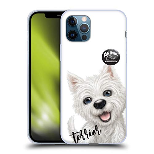 Terrier