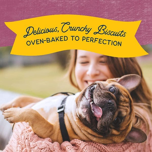 Natural Balance Crunchy Dog Biscuits with Real Venison Recipe - 14oz | Grain-Free Treats for Small & Large Dogs | Perfect for Training & Rewarding Pets