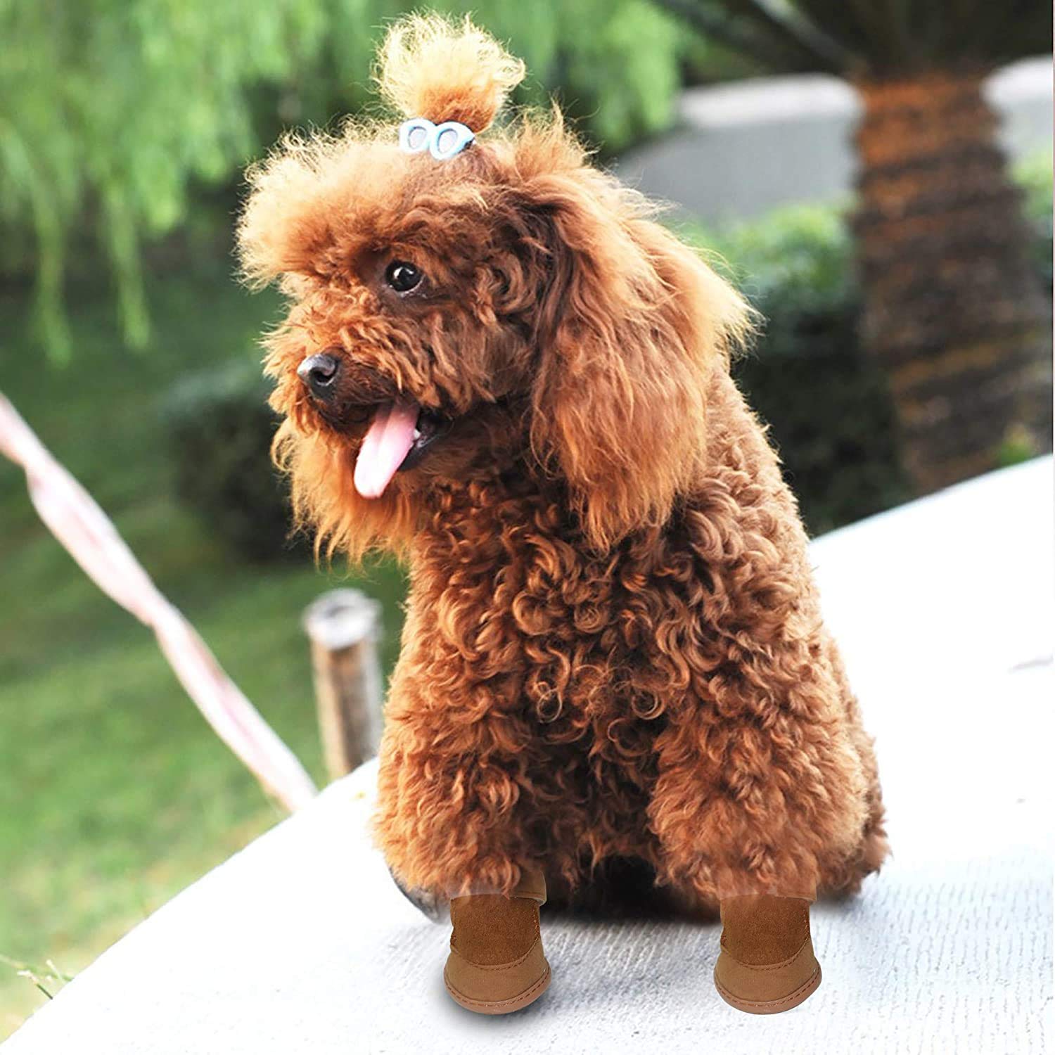 Payanwin Anti-Slip Dog Boots - Winter Warm Snow Shoes with Skidproof Soles for Small Dogs (XL, Brown) | Perfect for Snowy Walks, Hiking & Outdoor Adventures