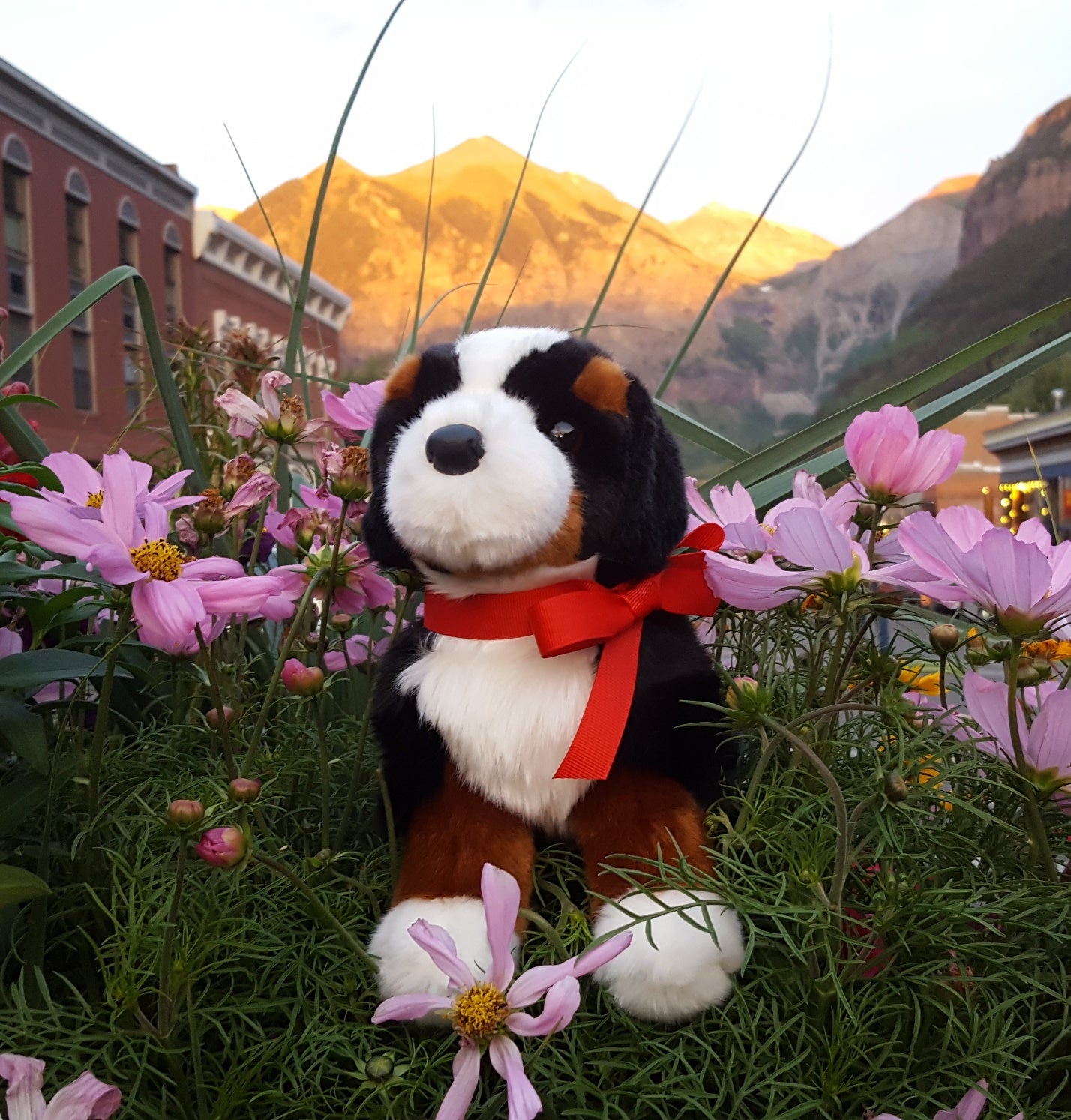 Premium Plush Bernese Mountain Dog Stuffed Animal - Signature Alpen Schatz Collection | Soft Cuddly Toy for Kids, Home Decor & Gift Idea