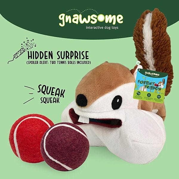 Gnawsome Forest Friends - Large Squirrel Dog Chew Toy for Aggressive Chewers | Natural Rubber Teething Puppy Toy for Small & Medium Dogs | Perfect for Indoor Play & Outdoor Adventures
