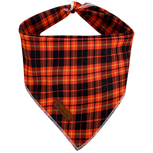 CTPlaid