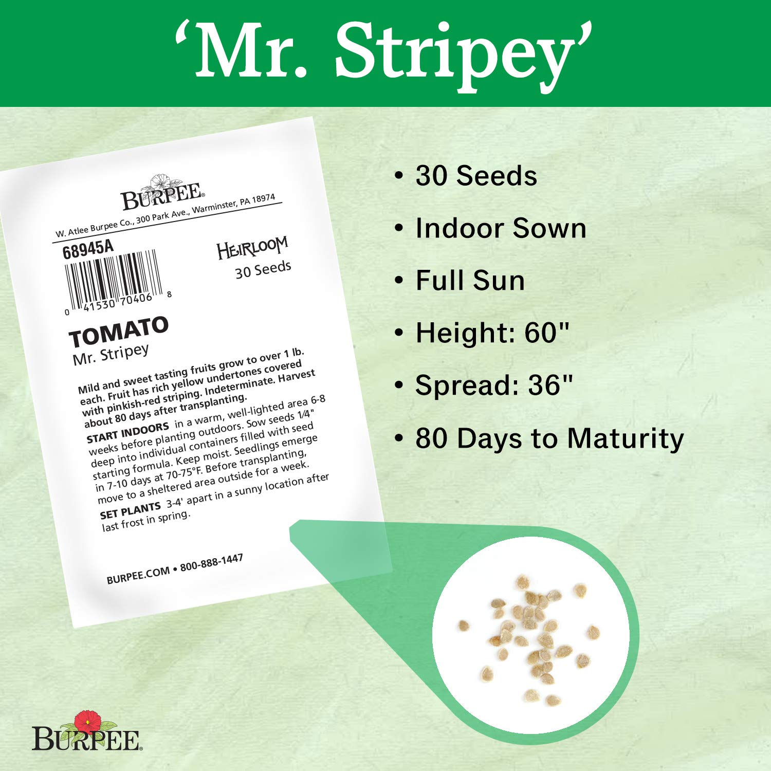 Burpee 'Mr. Stripy' Heirloom Beefsteak Tomato Seeds - 30 Non-GMO Seeds for Slicing, Salads & Fresh Eating - Perfect for Home Gardens & Organic Farming