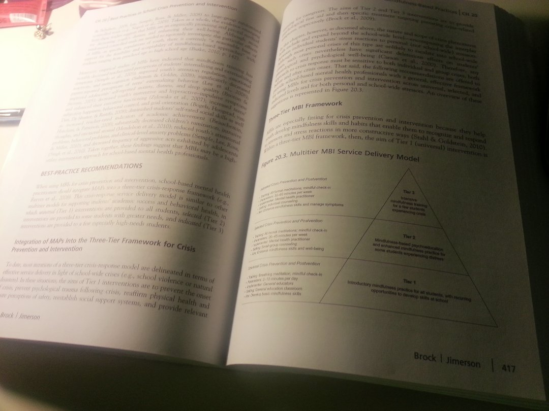 Best Practices in School Crisis Prevention and Intervention 2nd Edition by Stephen Brock - Essential Guide for Educators, Administrators & Counselors | School Safety Resource, Emergency Preparedness Handbook