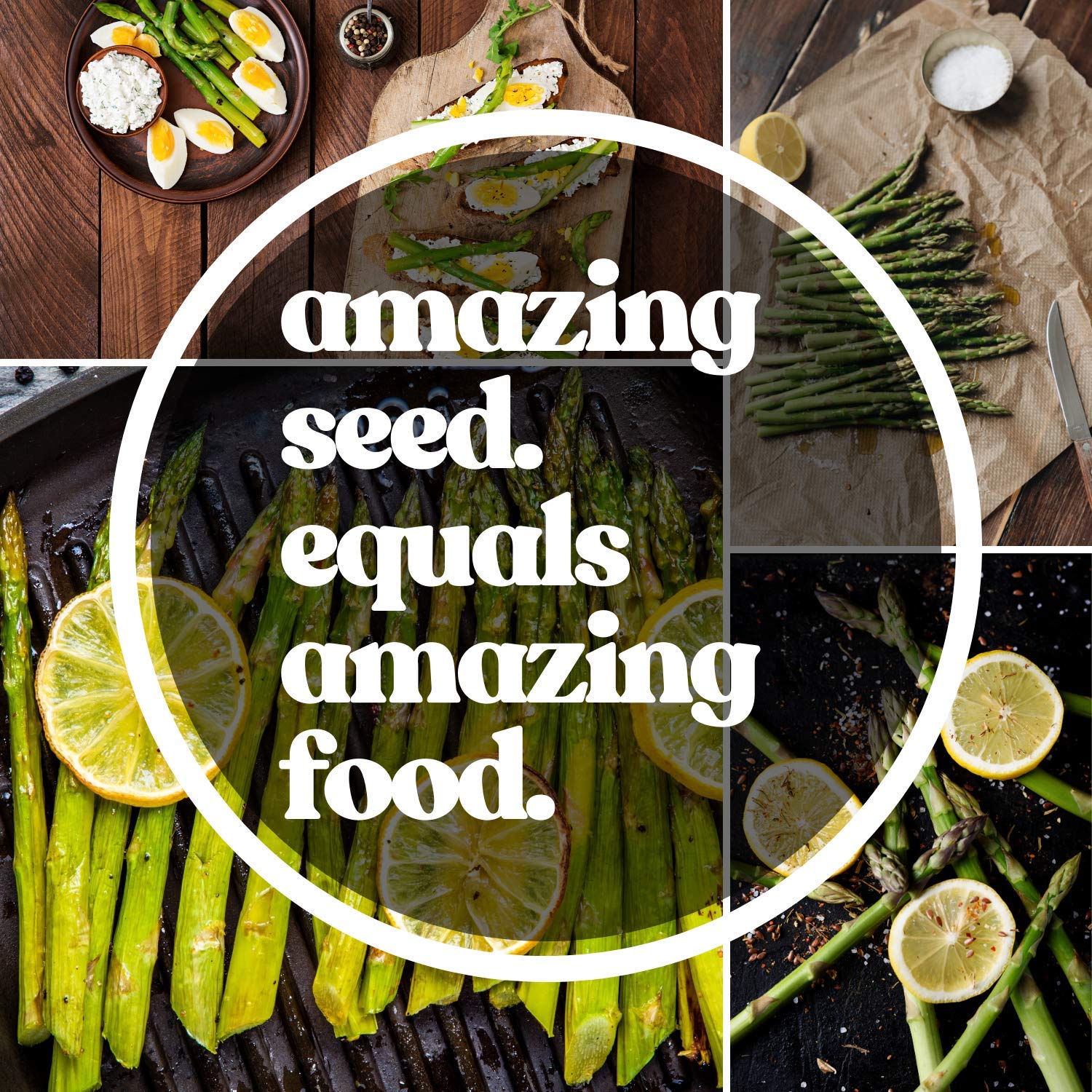 Non-GMO Asparagus Seeds - 60 Perennial Garden Seeds for Home Vegetable Planting