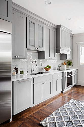 THE ONE Paint & Primer: Most Durable All-in-One Interior & Exterior Paint for Furniture, Cabinets, Doors, Walls - Fast Drying Matte Finish (Light Grey, 8.5oz) - Perfect for Kitchen, Bathroom, DIY Home Projects & Outdoor Surfaces