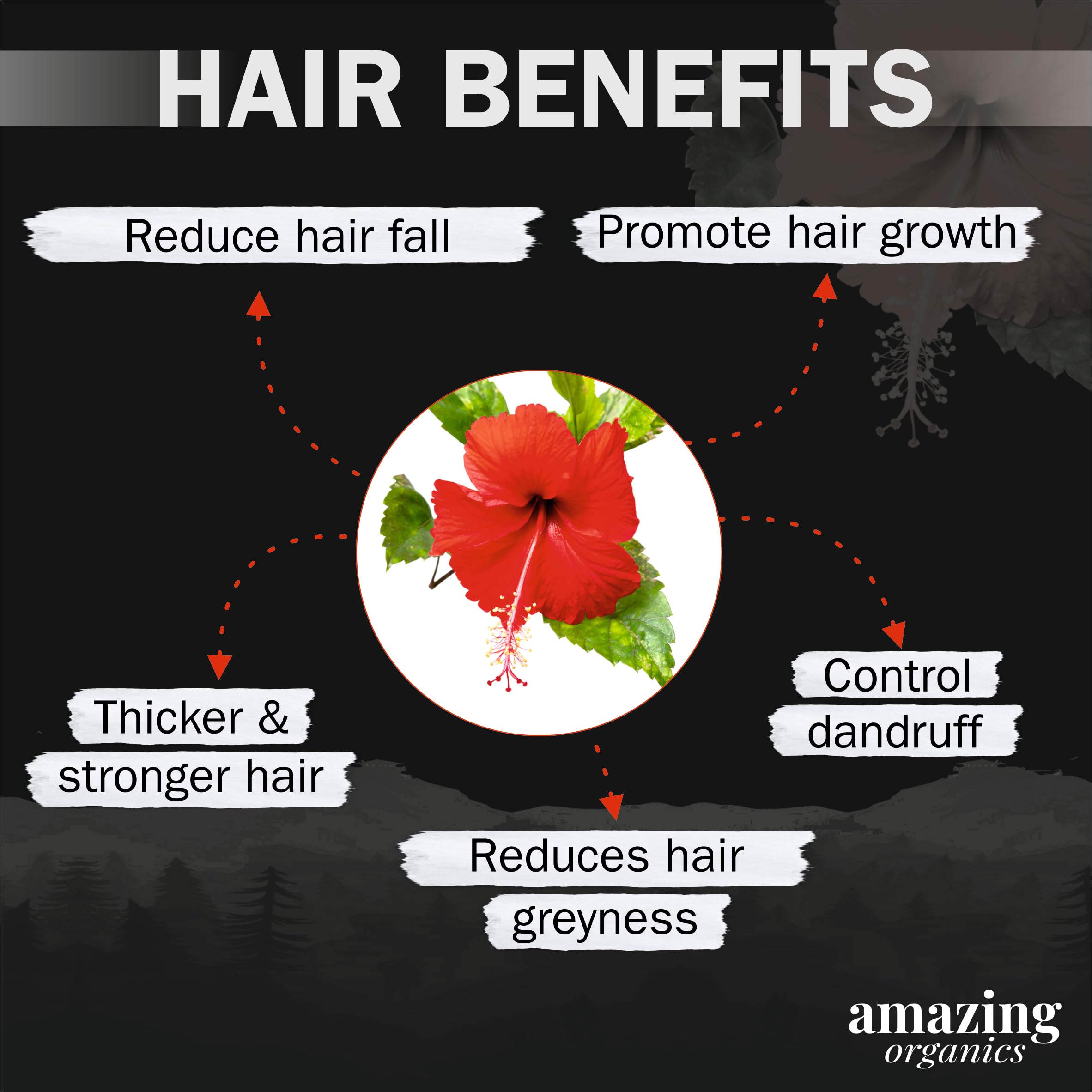 Organic Hibiscus Flower Powder for Face, Hair & Skin Care - Natural Anti-Aging, Acne Treatment & Hair Growth Solution | DIY Beauty Masks, Smoothies & Herbal Remedies