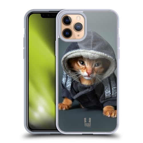 Abyssinian Kitten In A Hoodie