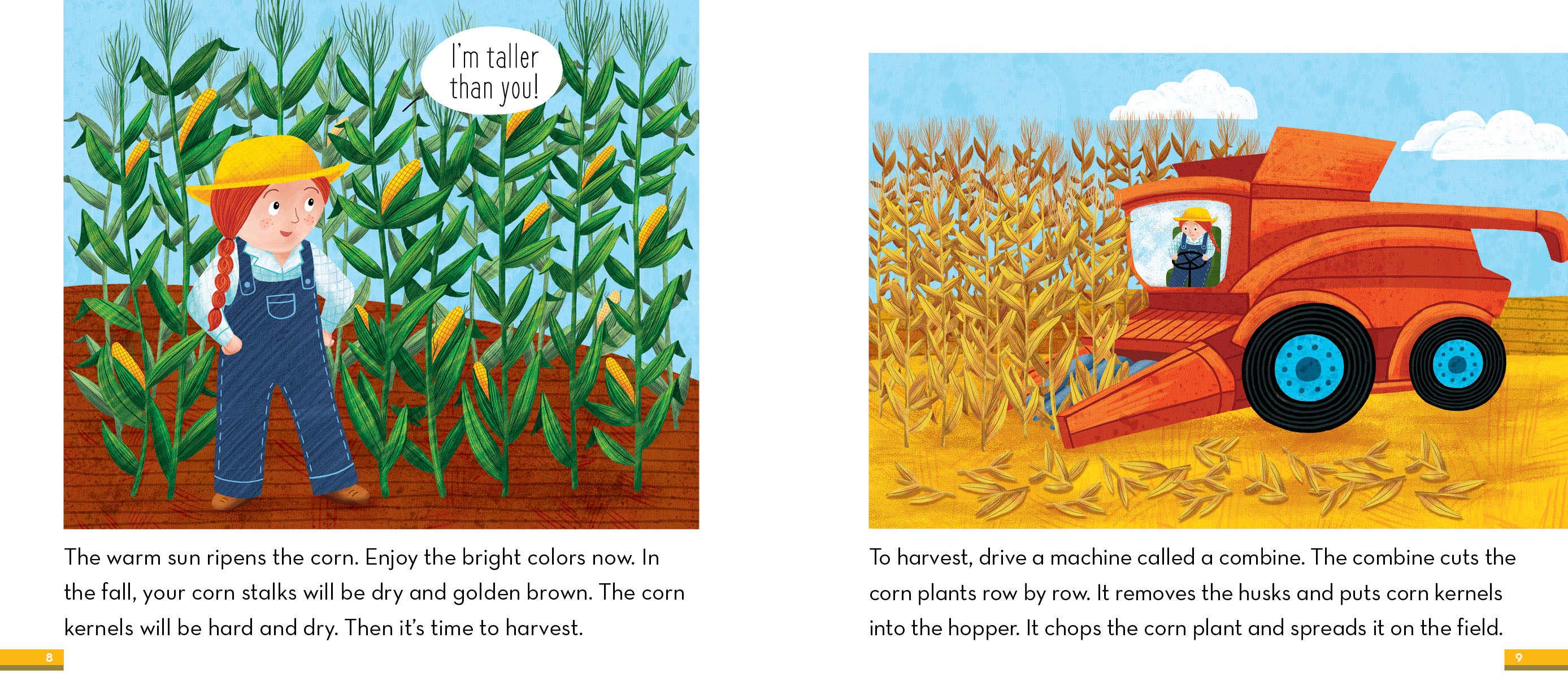 From Corn to Cereal: Premium Breakfast Cereal Made with Whole Grain Corn - Perfect for Healthy Mornings & Family Breakfasts