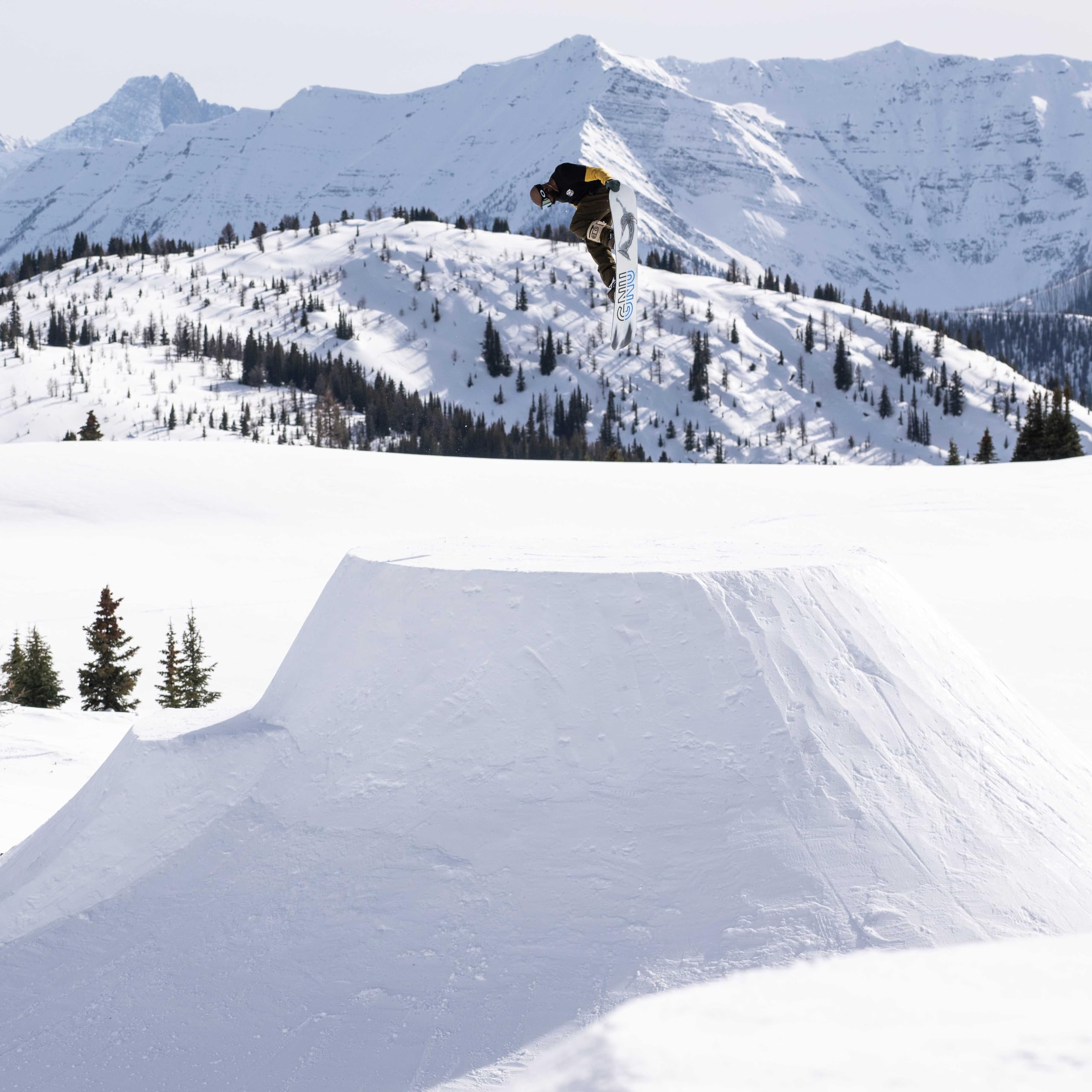 Gnu GWO Men's Snowboard - Freestyle & All-Mountain Performance for Powder, Park & Pipe - Perfect for Snowboarding Enthusiasts & Winter Sports Lovers
