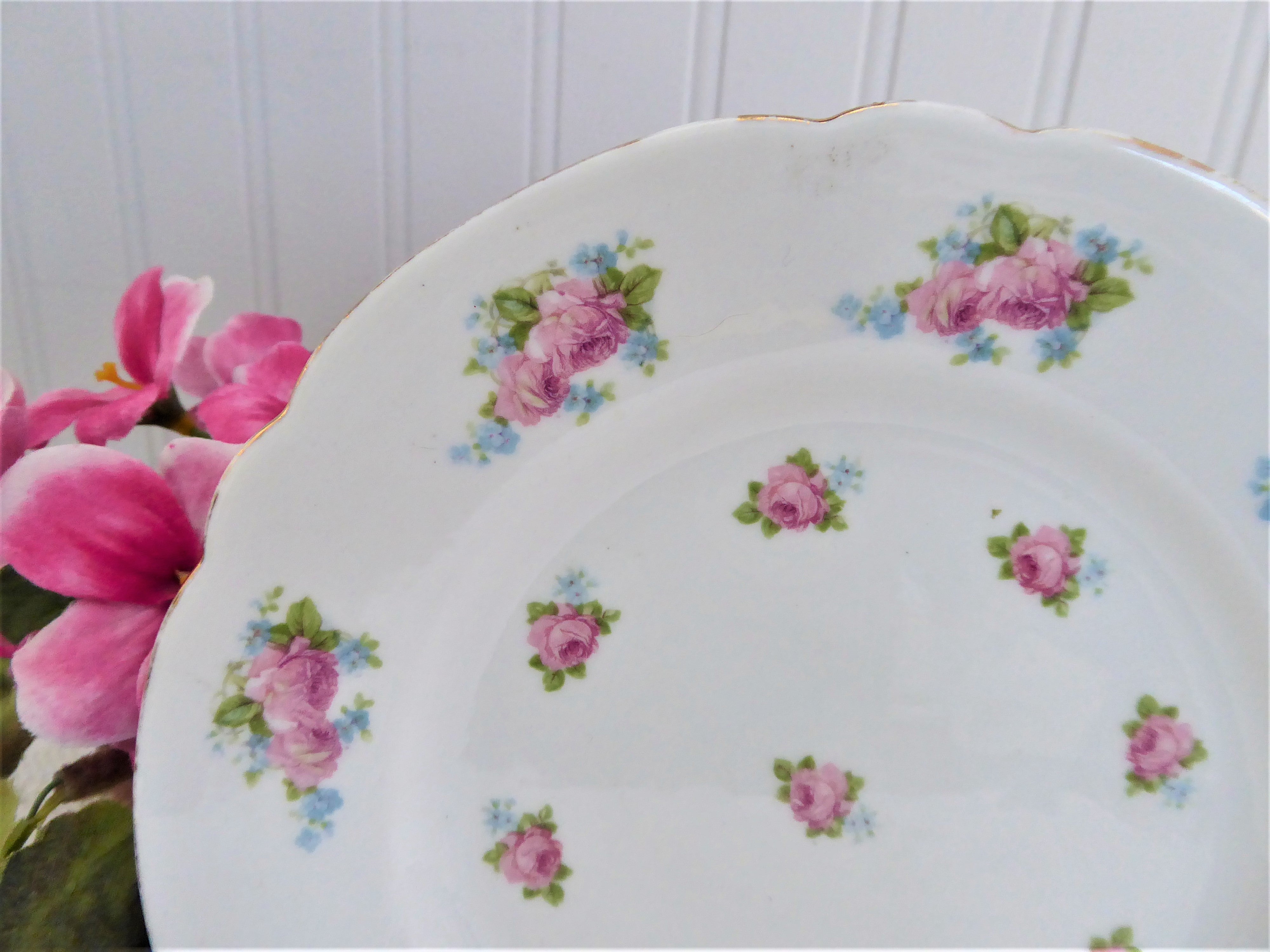 Gainsborough Shelley 7-Inch Salad Plate with Roses & Forget-Me-Nots Floral Design - Perfect for Desserts, Appetizers & Elegant Dining Table Setting