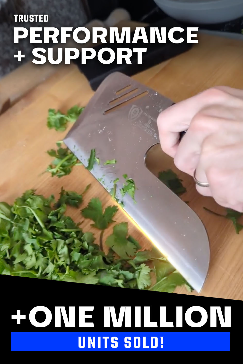 Dalstrong Gladiator Series Menkiri Noodle Knife 9.5