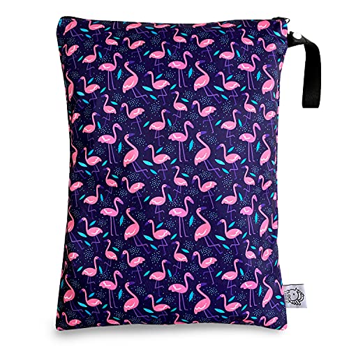 Flamingos