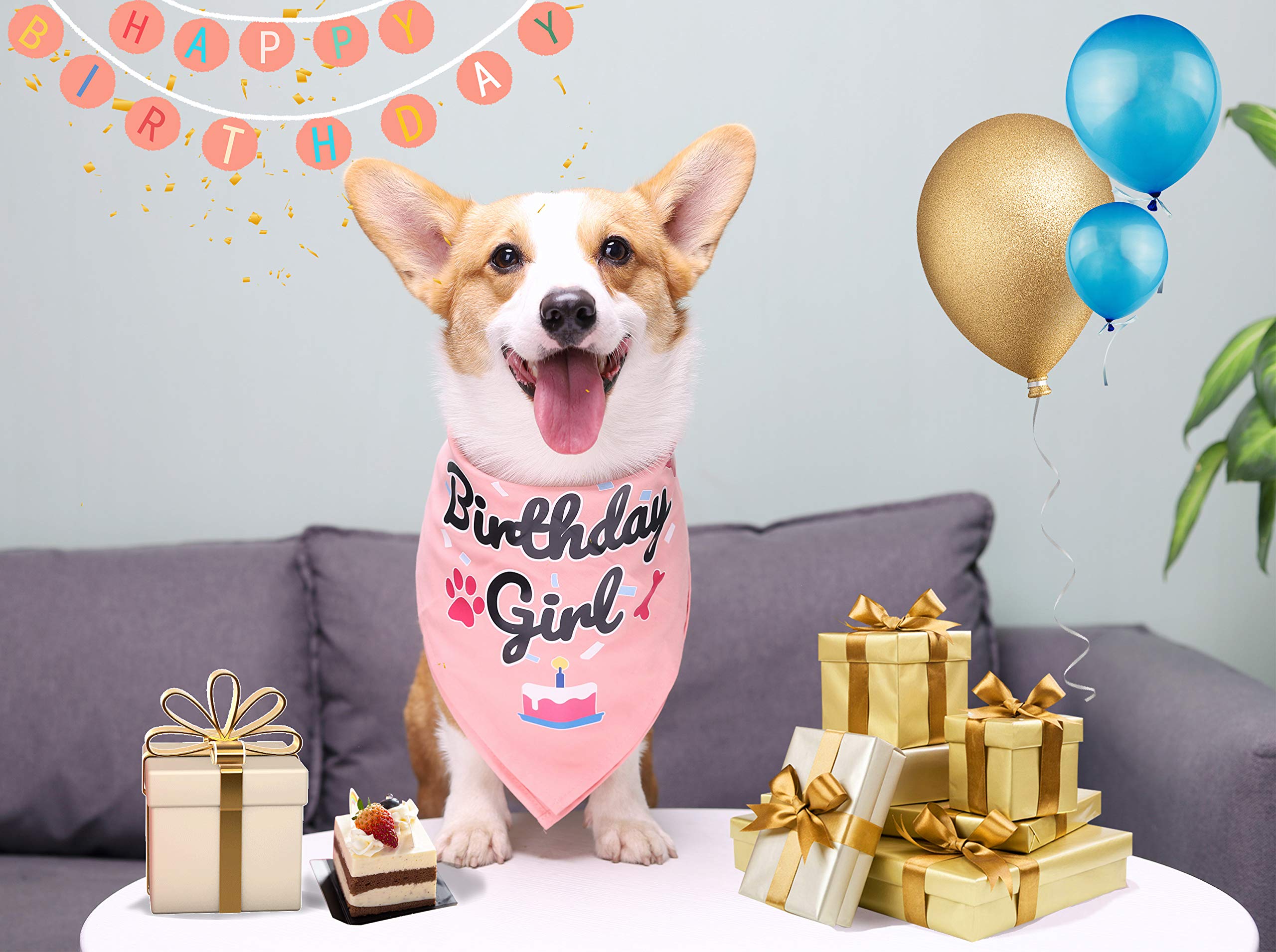 Bubblepup Dog Birthday Bandana for Boys & Girls - Cute Pet Birthday Accessory for Small & Large Dogs - Perfect for Birthday Parties, Photo Shoots & Special Occasions