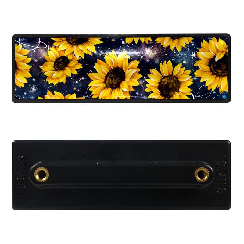 Sunflower Galaxy Sky