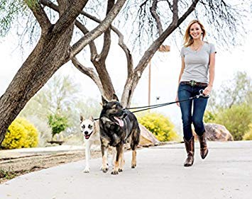 WIGZI Dual Dog Leash for Medium & Large Dogs - Strong Gel Rope Dog Leash with Comfortable Handle, Black (2-Pack) - Perfect for Walking, Running & Training Active Dogs