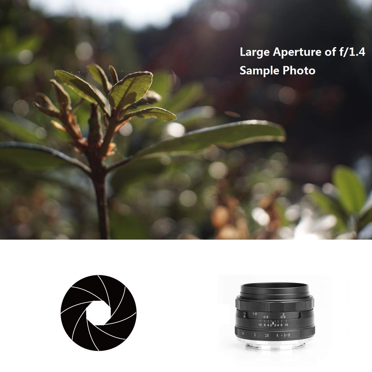 MEIKE MK-35mm F/1.4 Manual Focus Large Aperture Prime Lens for Fujifilm X-T1 X-T2 X-T3 X-T4 Mirrorless Cameras - Perfect for Portrait, Street & Low Light Photography