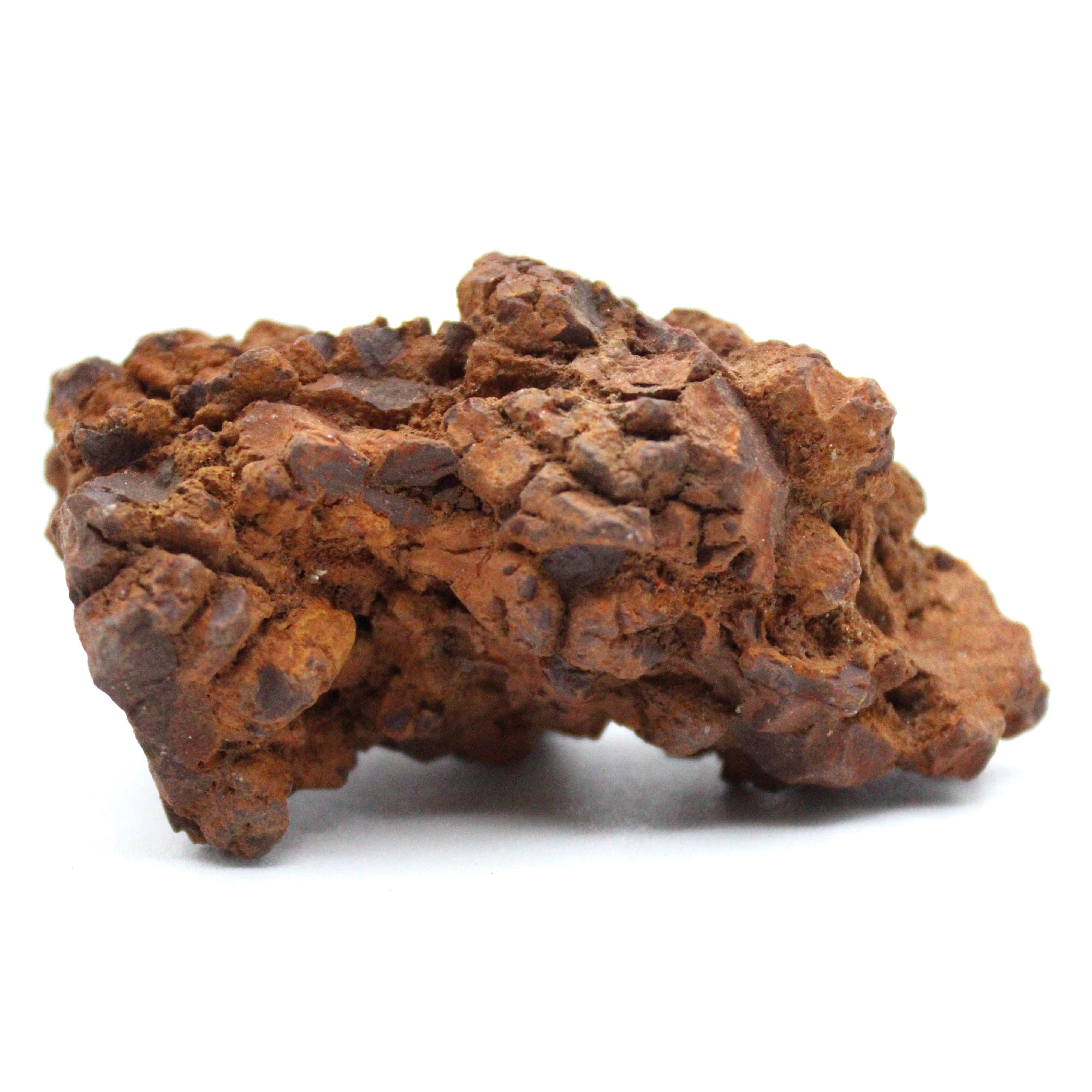 Authentic Coprolite Fossil Specimen - Dinosaur Poop Fossil for Collectors & Science Enthusiasts - Perfect for Educational Displays & Unique Home Decor