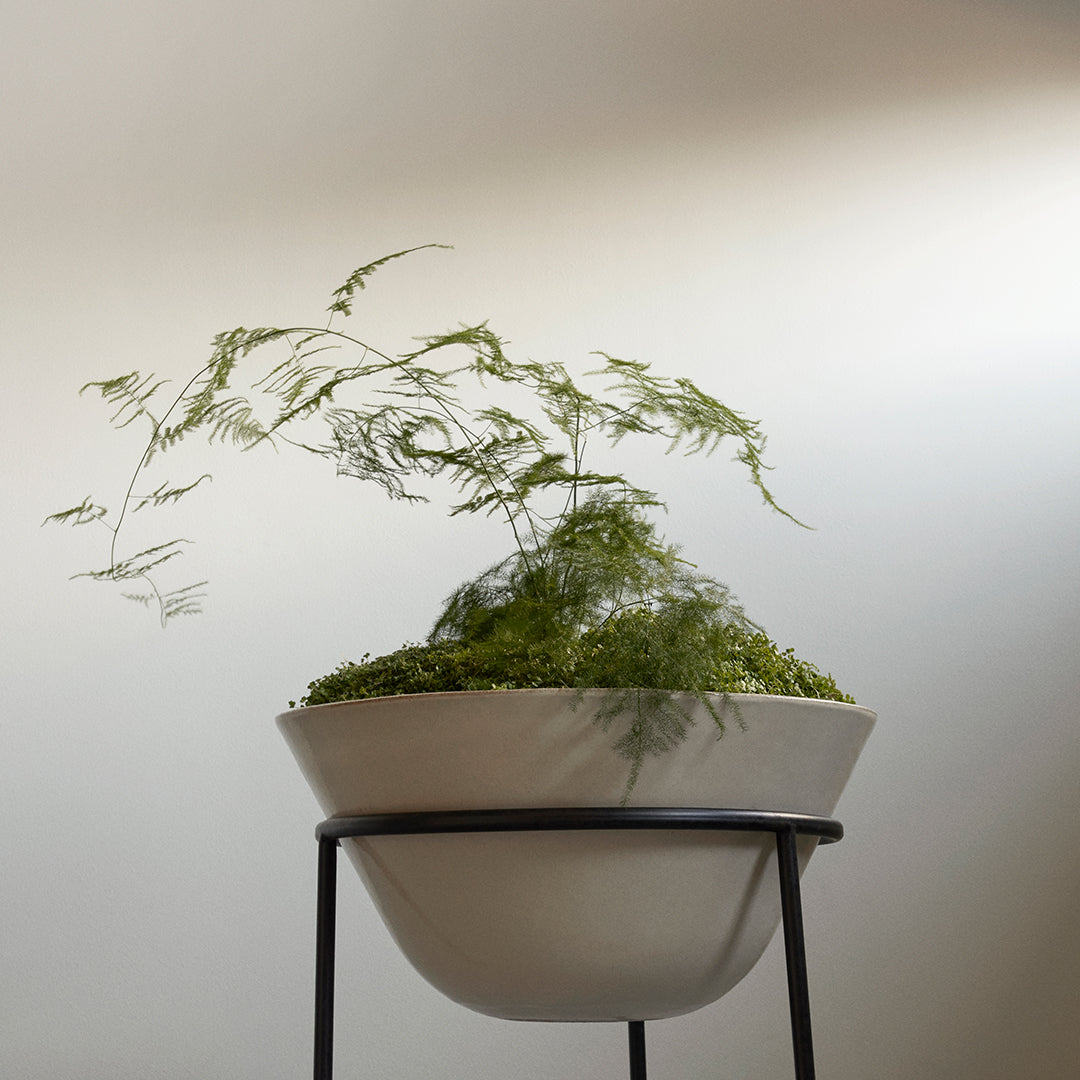 Modern Menu Daiza Planter - Elegant Ceramic Flower Pot for Indoor Plants, Succulents & Home Decor | Perfect for Living Room, Office Desk & Gift Ideas