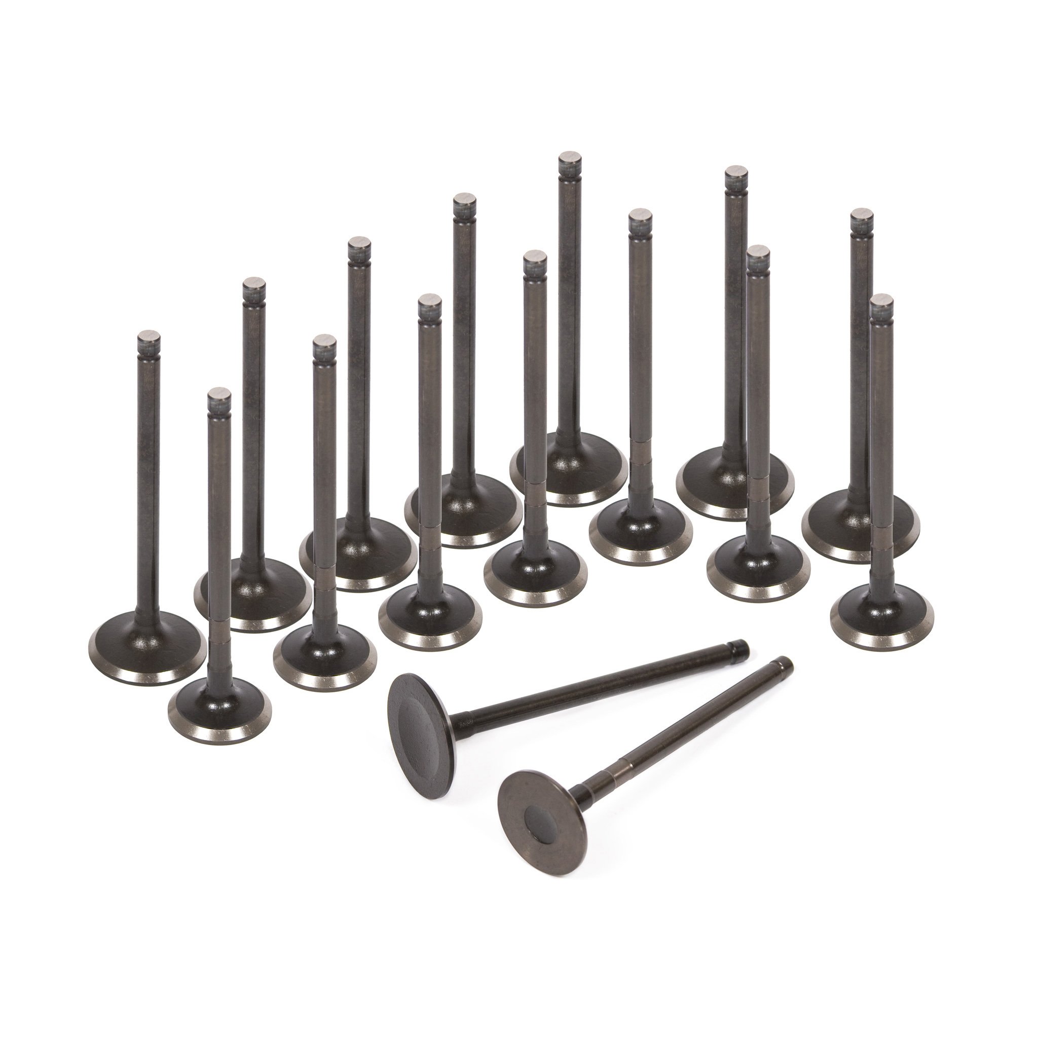 Evergreen HSHBIEV2024G-2 Complete Engine Gasket Set with Head Bolts & Valves - Compatible with 00-08 Toyota Corolla, Celica GT, Matrix XR, Chevrolet Prizm 1.8L 1ZZFE - Perfect for Engine Rebuilds & Performance Upgrades