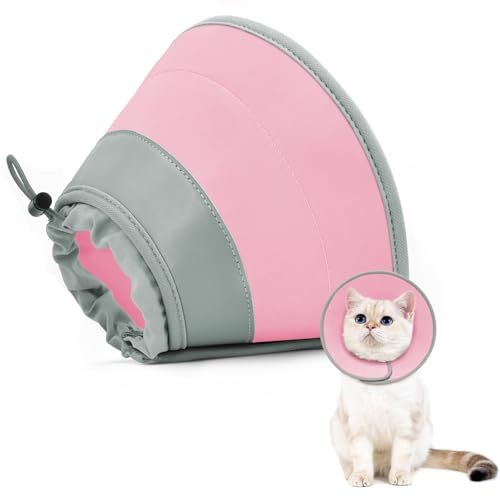 Solid Pink