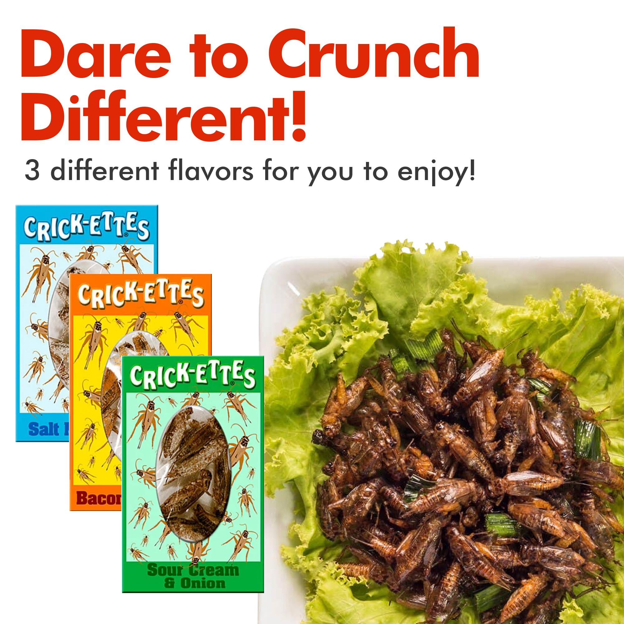 HotLix Crick-ettes Edible Crickets (6-Pack) | Crunchy Cricket Snacks, High-Protein Dried Insects for Humans, Exotic & Weird Food Gifts | Perfect for Camping, Hiking & Unique Party Snacks