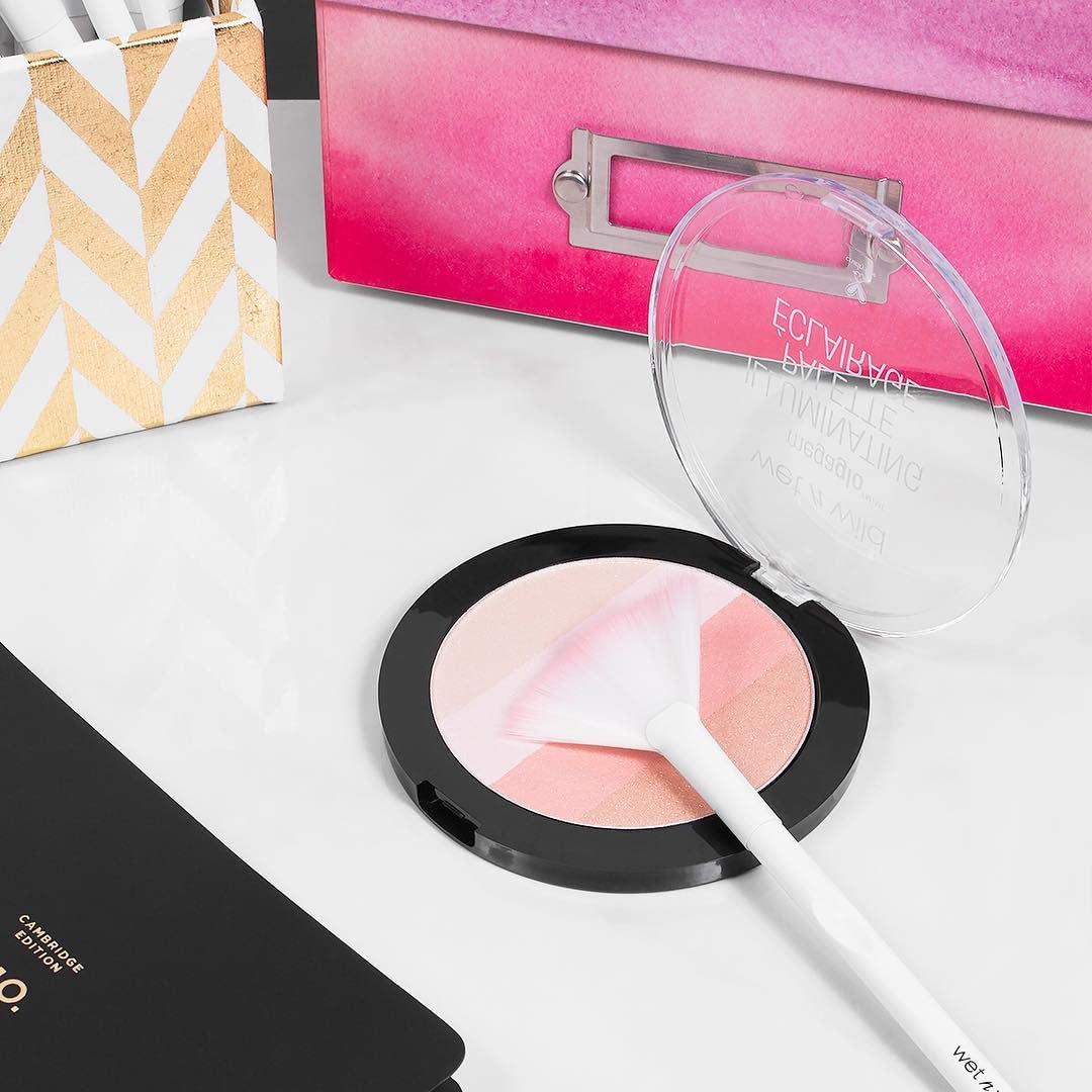 Wet n Wild MegaGlo Illuminating Blush & Highlighter Powder Palette - Catwalk Pink | Natural Glow Face Makeup for Cheeks & Contouring | Perfect for Daytime Wear & Special Occasions