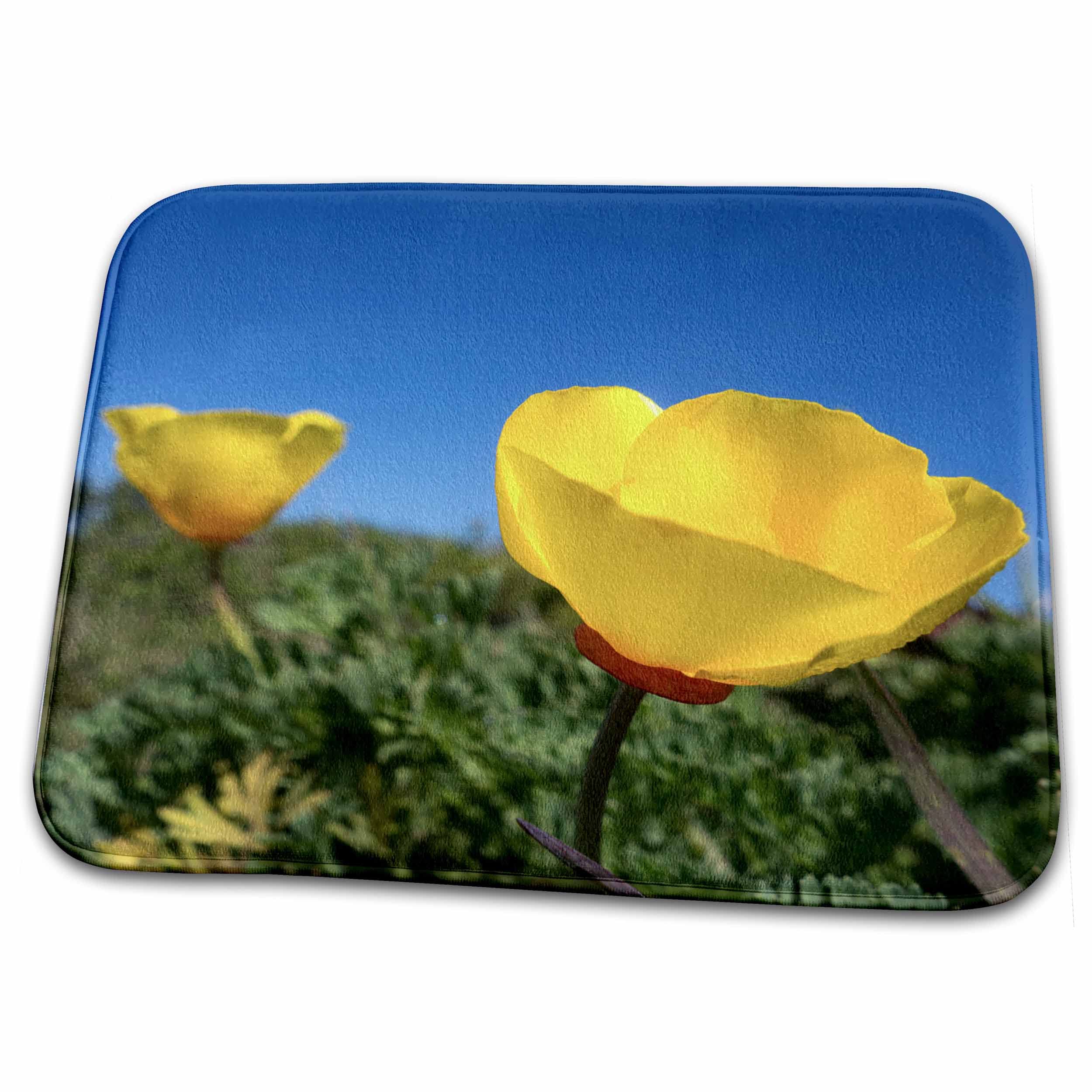 3D Rose Bright Yellow California Poppy Against Blue Sky Bath Rug Mat - Non-Slip Absorbent Bathroom Floor Mat for Shower, Tub & Vanity Area - Soft Microfiber Decor Rug (24x16 Inches)