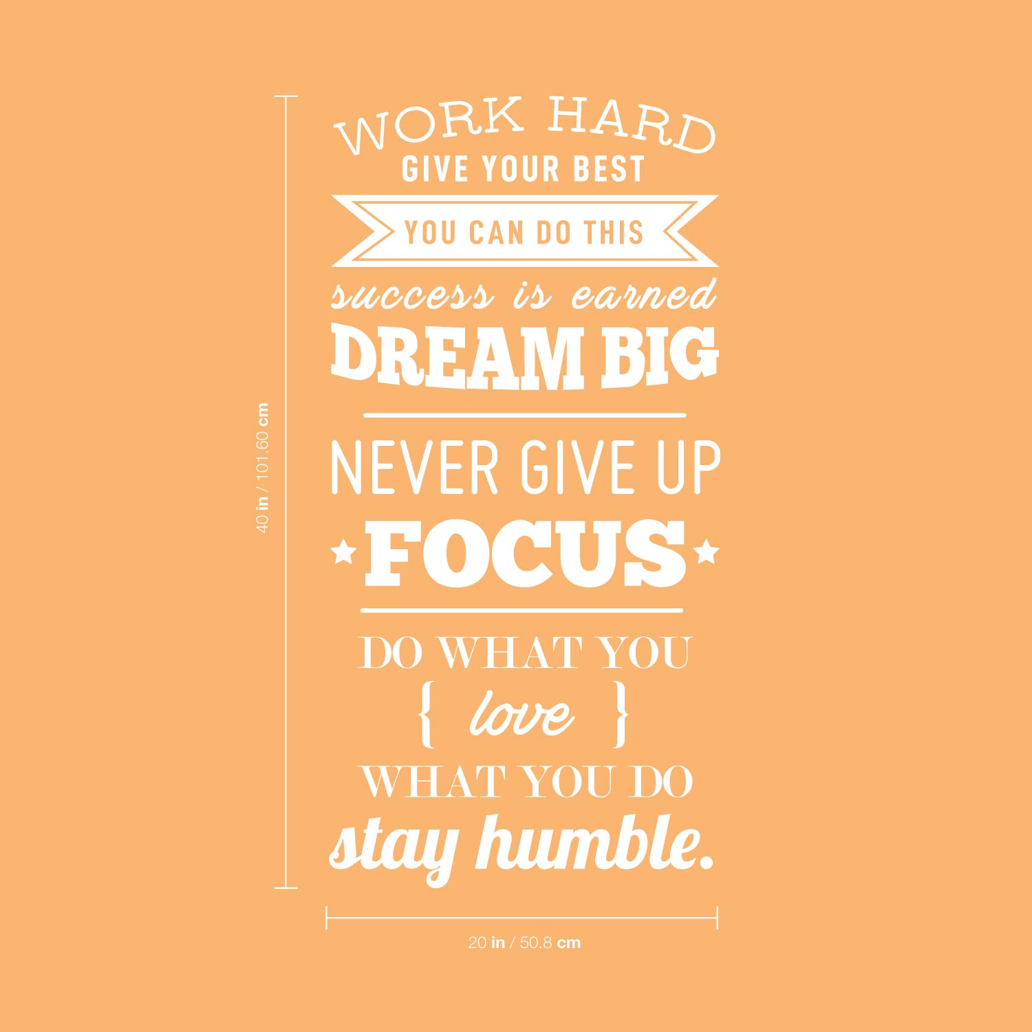 Vinyl Wall Art Decal - Motivational Quote 'Work Hard Give Your Best You Can Do This' - 40
