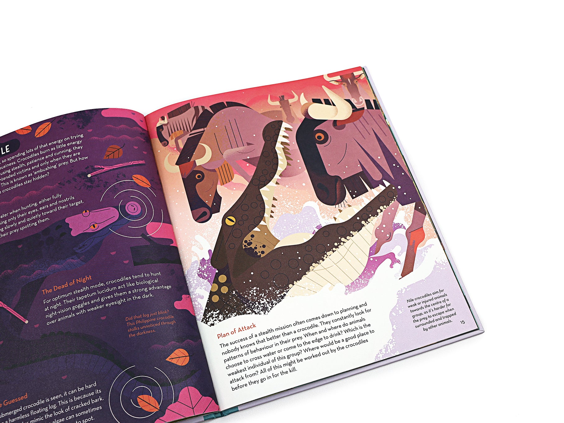 Curious About Crocodiles: Illustrated Animal Book for Kids by Owen Davey - Perfect for Bedtime Stories & Wildlife Education