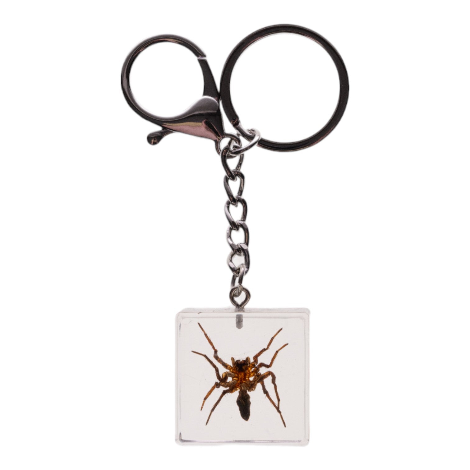 Real Spider Encased in Acrylic Cube Keychain - Unique Science & Nature Collector's Item - Perfect for Halloween Decor, Gifts for Entomology Lovers, and Gothic Fashion Accessories