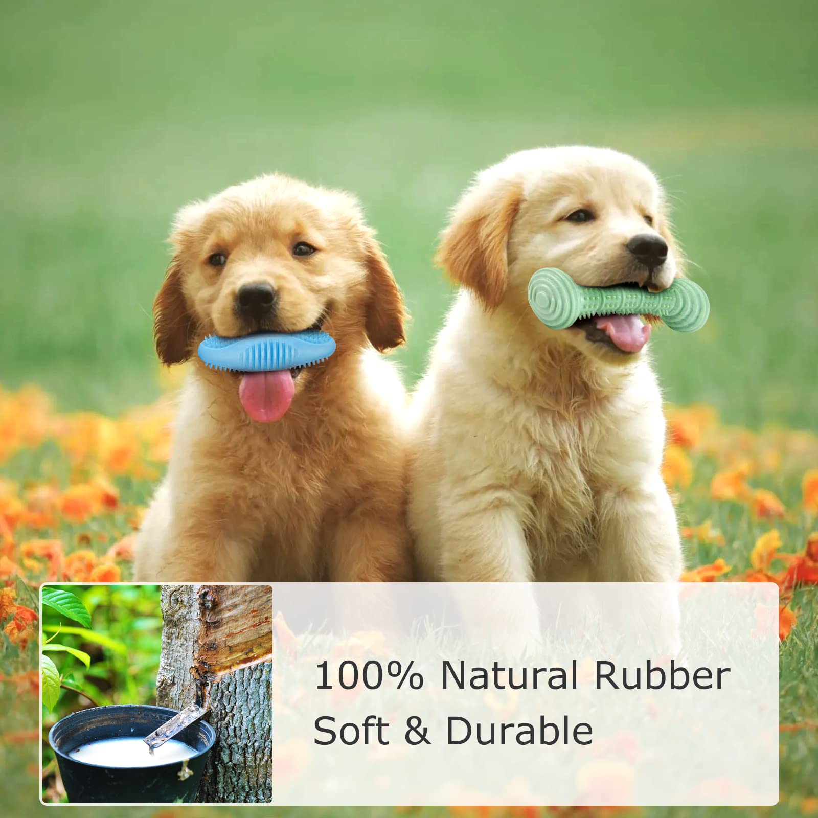 6 Pack Squeaky Dog Chew Toys for Puppies 2-8 Months - Soft & Durable Teething Toys for Small & Medium Dogs - Promotes Dental Health & Oral Hygiene - Perfect for Playtime, Training & Anxiety Relief