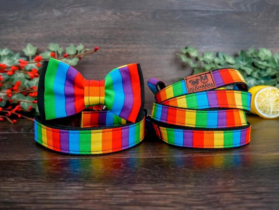Stylish Rainbow Dog Bow Tie Collar & Leash Set - Perfect for Pet Parties, Weddings & Photo Shoots
