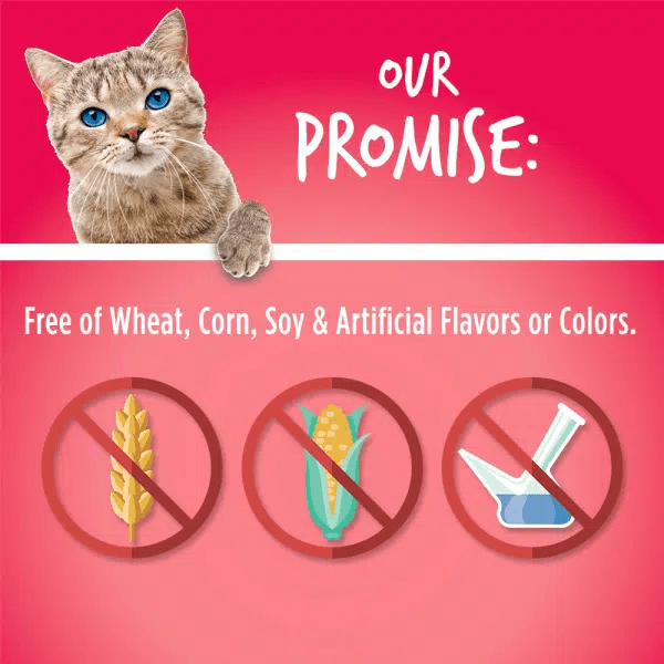 Fruitables Salmon & Cranberry Cat Treats - Grain-Free, Healthy Snacks for Cats - Perfect for Training, Rewards, and Indoor Cats